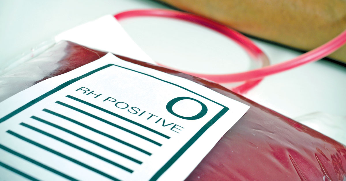 O Positive Blood Group